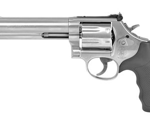 S&W 686 Plus 6″ .357 mag
